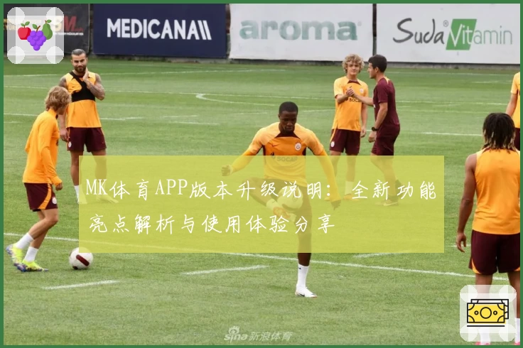 MK体育APP版本升级说明：全新功能亮点解析与使用体验分享